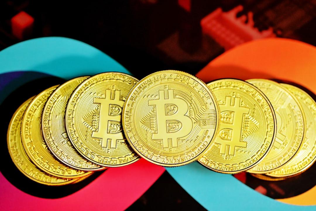 시바 이누(SHIB) 부활 가능성: 30%의 새로운 지갑 유입 후