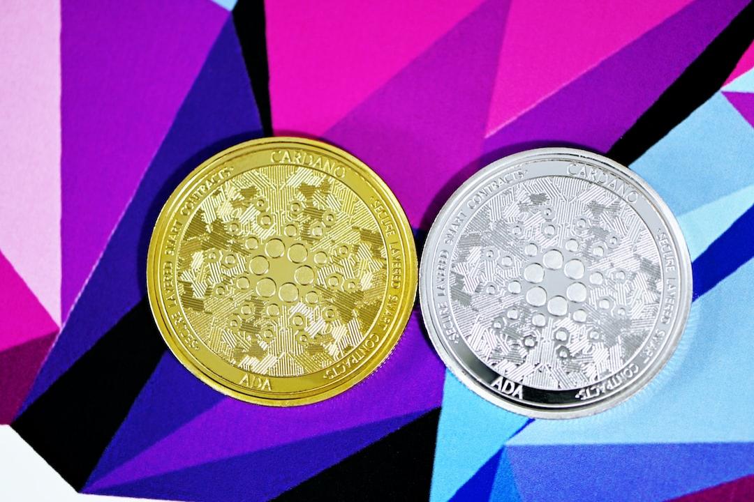 VeChain의 르네상스 로드맵 진행 상황은 어떠한가?