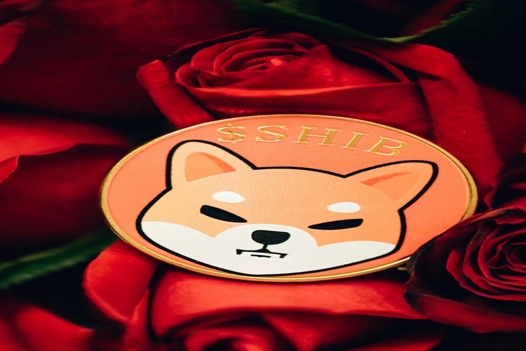 Zerebro, Fartcoin, 및 Lofi의 차별화로 인해 밈 코인의 변동성이 커지다
